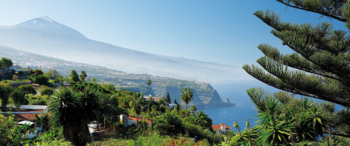 Mount Teide overlooking Orotava Valley, Tenerife